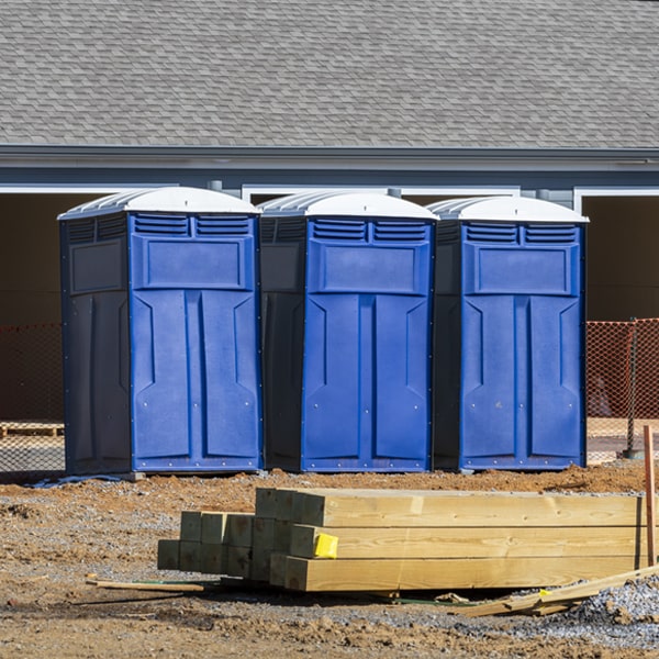 do you offer hand sanitizer dispensers inside the porta potties in Lerna Illinois